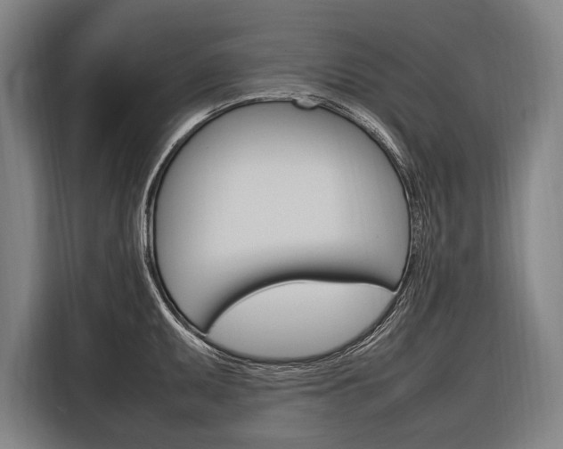 X0000116881095200912220939