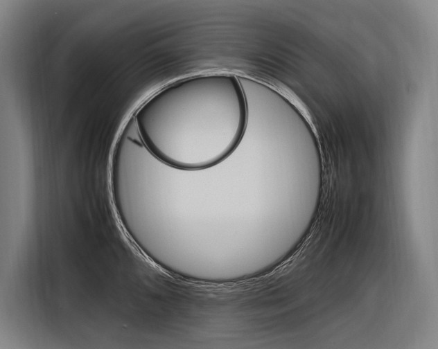 X0000116881096200912220939