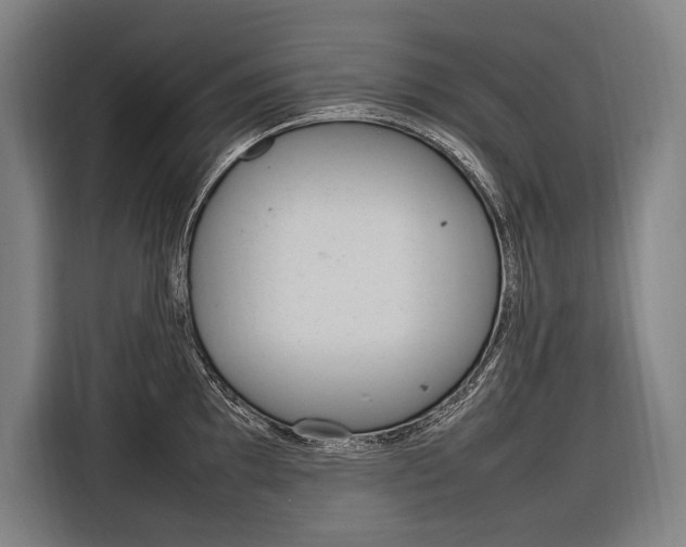 X0000116881097200912220939
