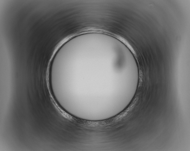 X0000116881098200912220939