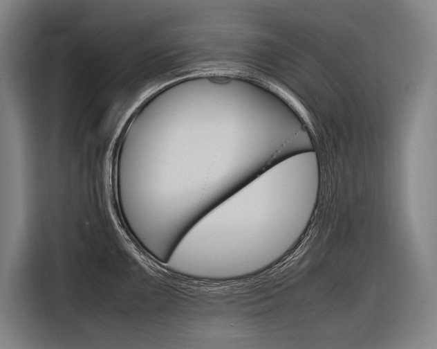 X0000116881099200912220939