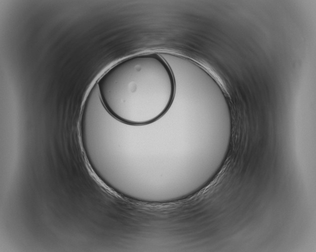 X0000116881100200912220939