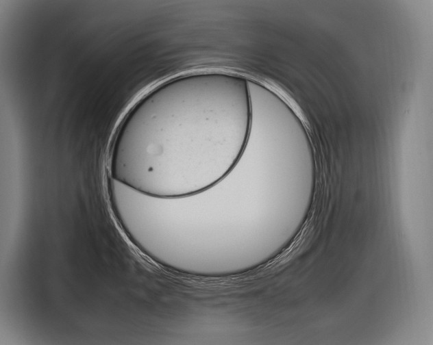 X0000116881101200912220939