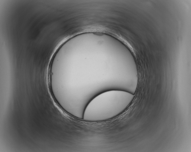 X0000116881103200912220939