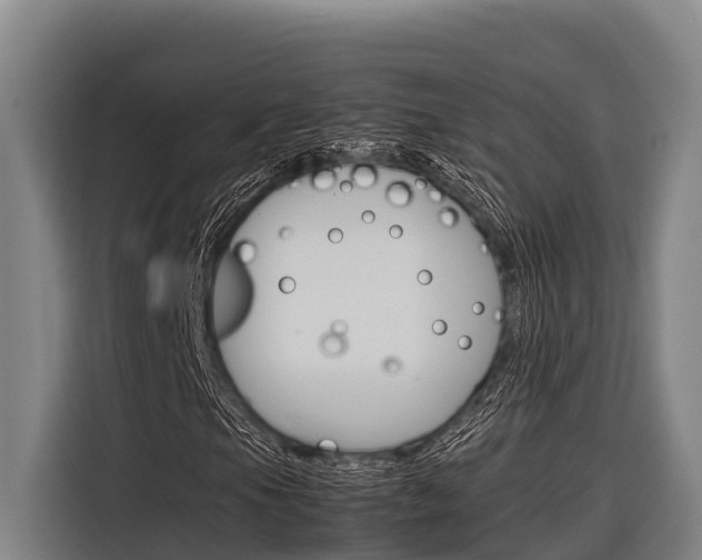X0000116881105200912220939