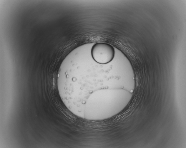 X0000116881106200912220939