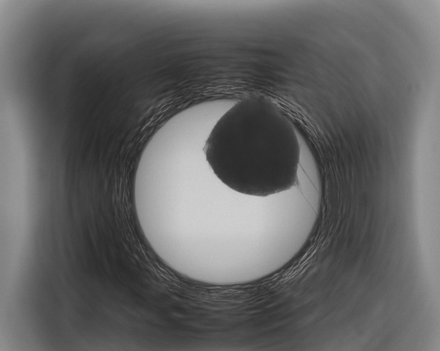 X0000116881107200912220939