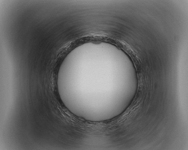 X0000116881110200912220939