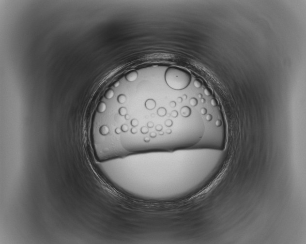 X0000116881113200912220939