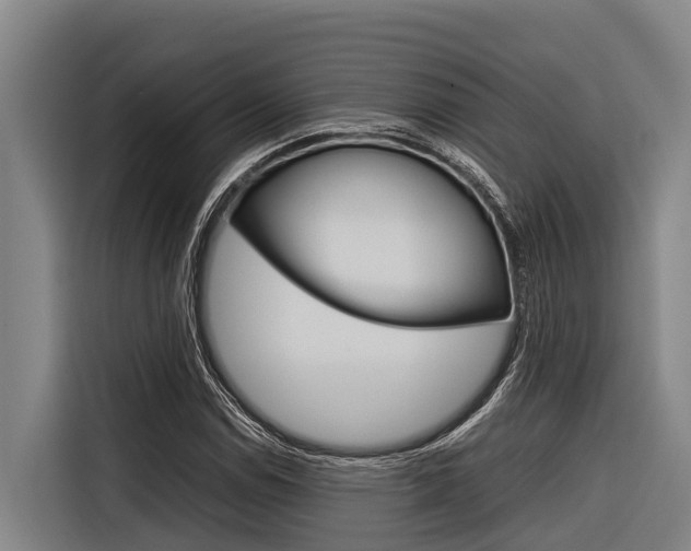 X0000116881114200912220939