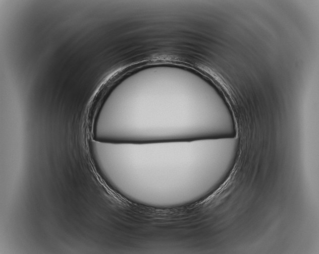 X0000116881115200912220939