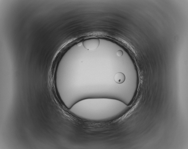 X0000116881117200912220939