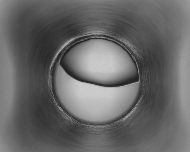 X0000116881118200912220939