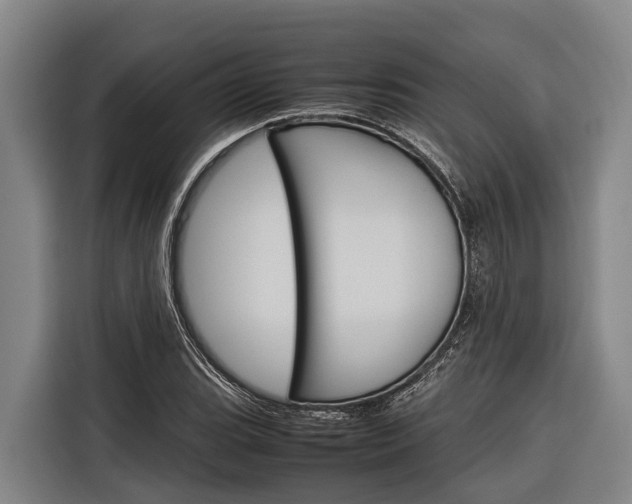 X0000116881119200912220939