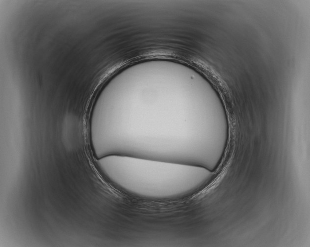 X0000116881121200912220939