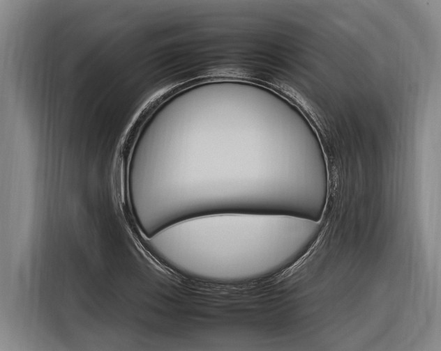 X0000116881123200912220939