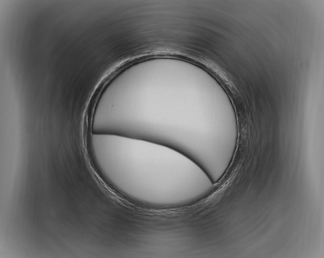 X0000116881126200912220939