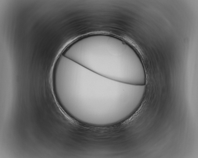 X0000116881127200912220939
