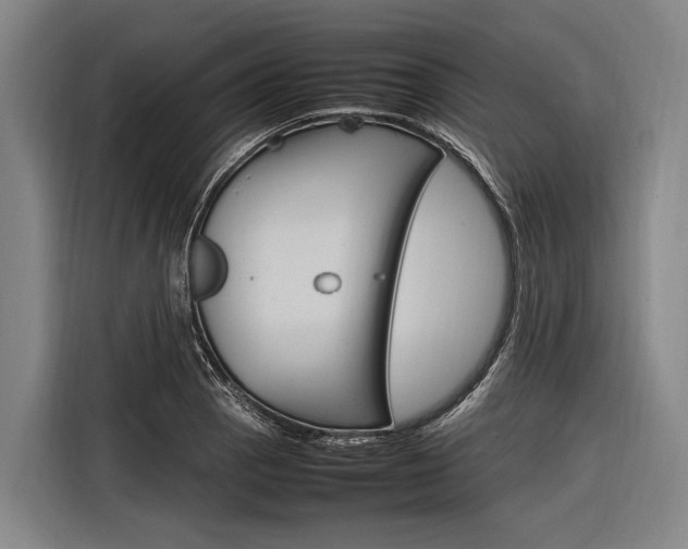 X0000116881129200912220939