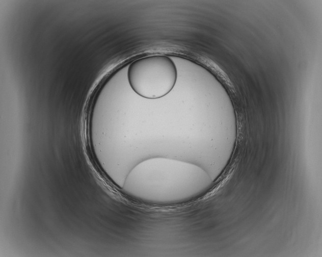 X0000116881130200912220939