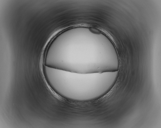 X0000116881131200912220939