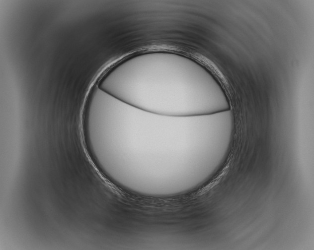 X0000116881133200912220939