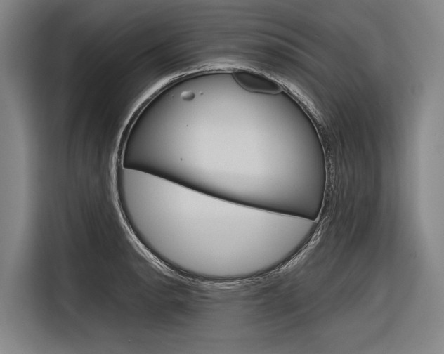 X0000116881134200912220939