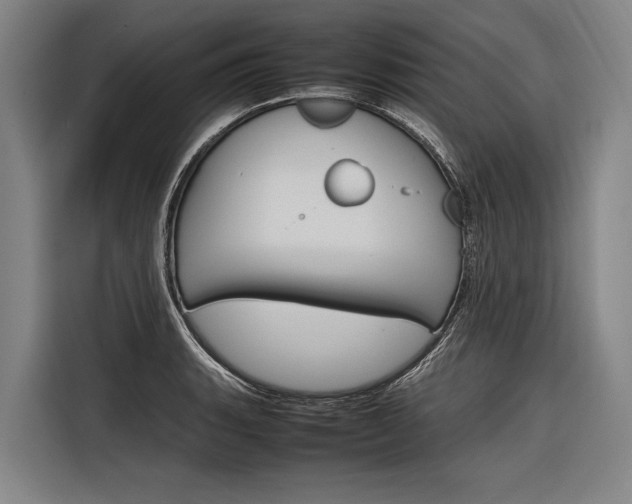 X0000116881135200912220939