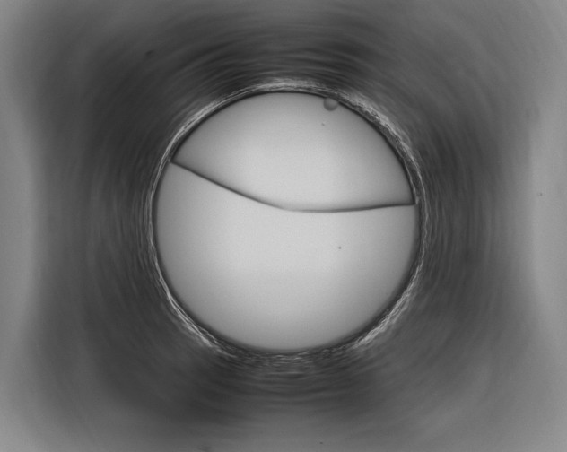 X0000116881137200912220939