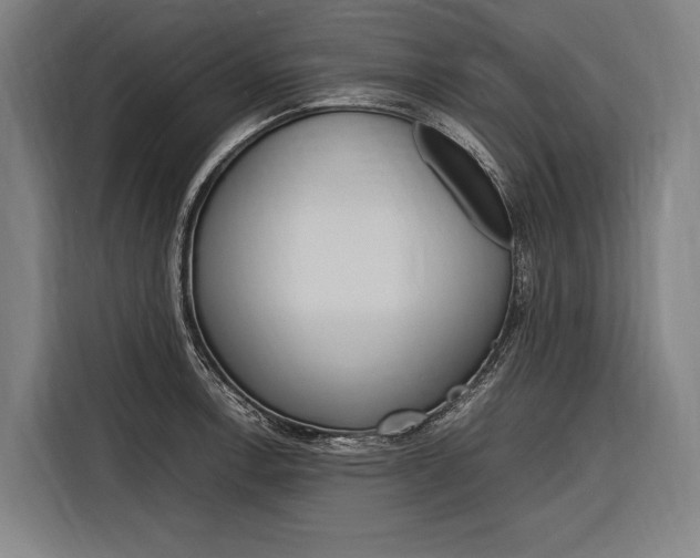 X0000116881138200912220939