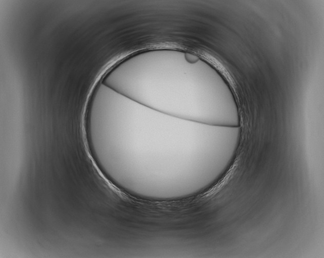 X0000116881141200912220939