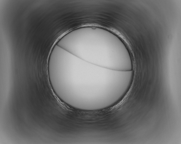 X0000116881145200912220939