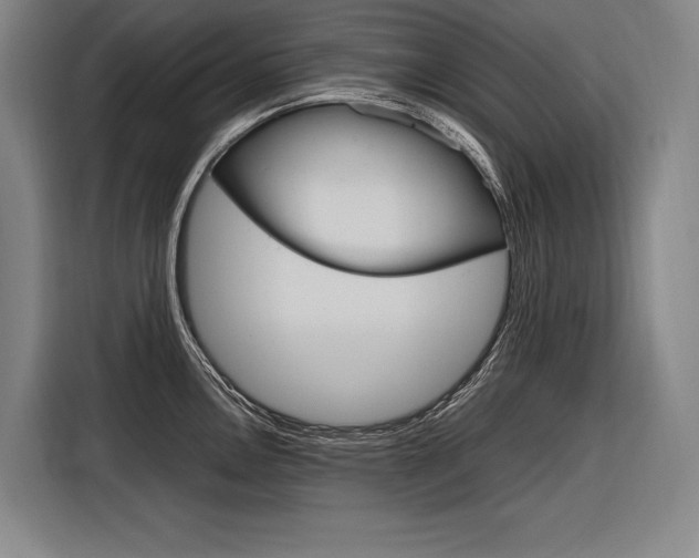 X0000116881146200912220939