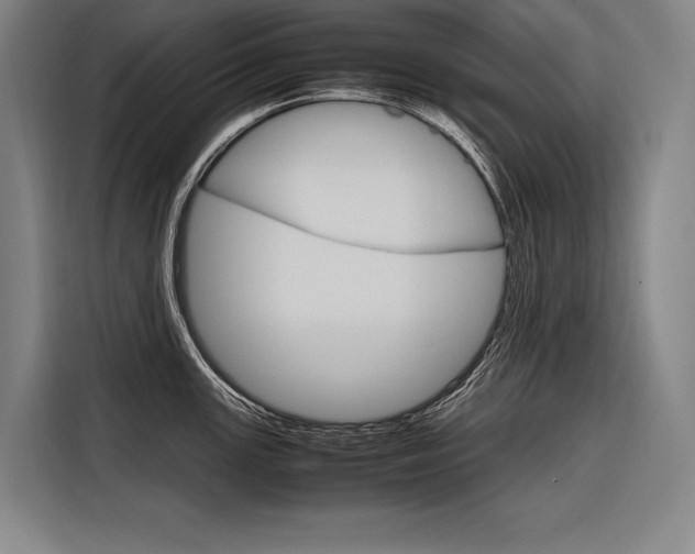 X0000116881147200912220939