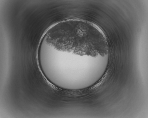 X0000116881149200912220939