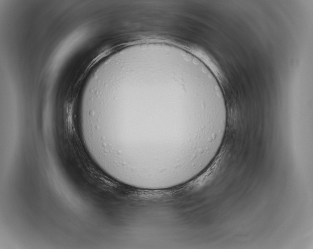X0000116881150200912220939