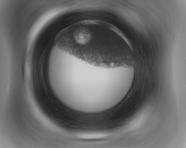 X0000116881151200912220939