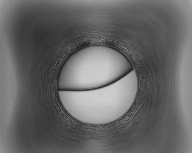 X0000116881153200912220939