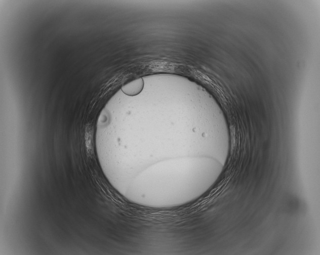 X0000116881154200912220939