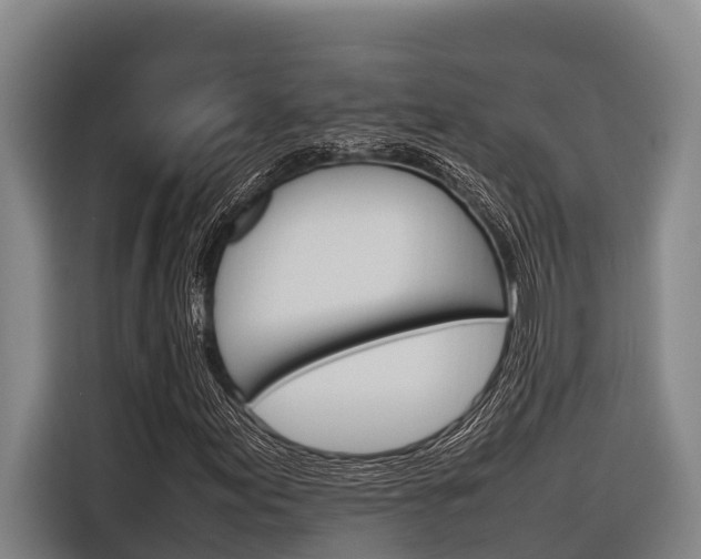 X0000116881155200912220939