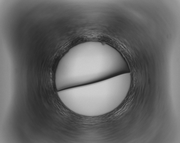 X0000116881156200912220939