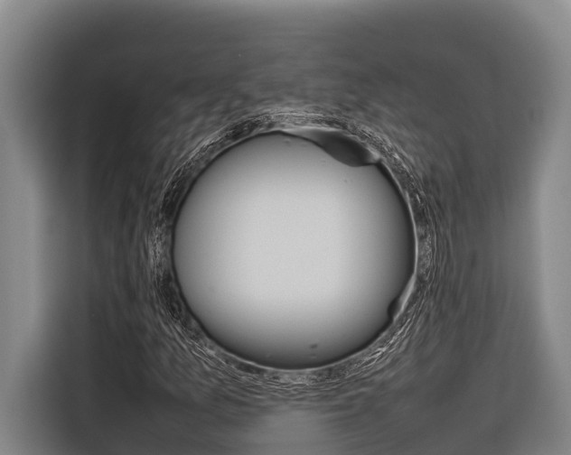 X0000116881157200912220939