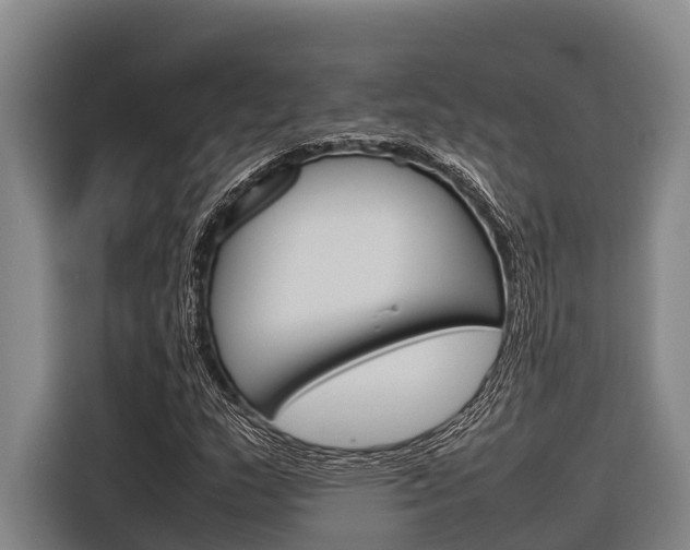 X0000116881159200912220939