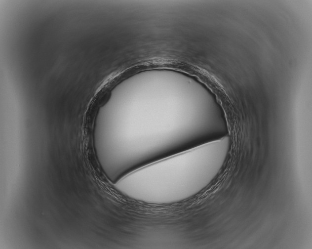 X0000116881160200912220939