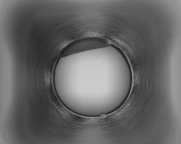 X0000116881161200912220939