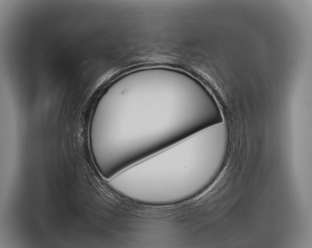 X0000116881163200912220939
