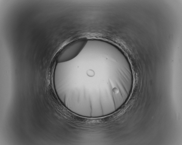 X0000116881165200912220939