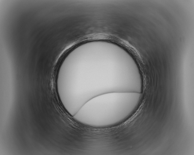 X0000116881166200912220938