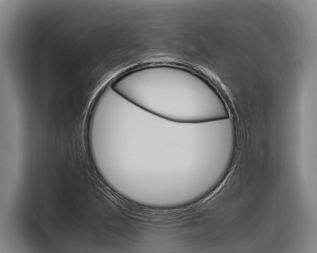 X0000116881167200912220938