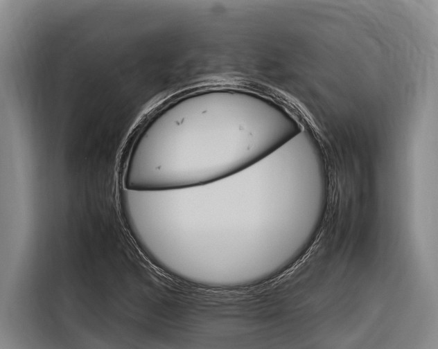 X0000116881168200912220938